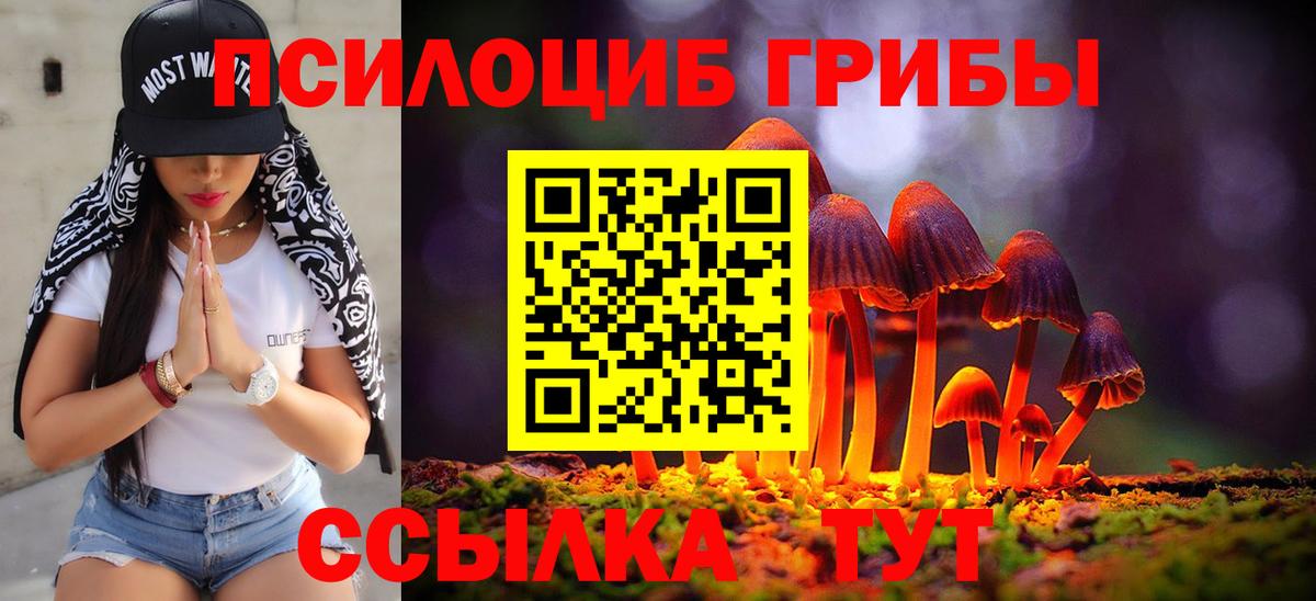Галлюциногенные грибы Psilocybe Петрозаводск