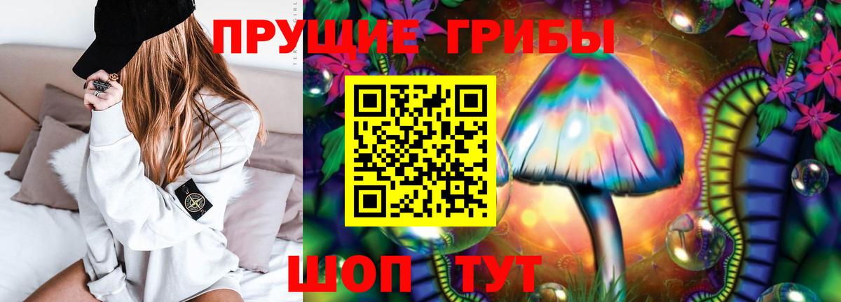 Псилоцибиновые грибы Cubensis  Вход с VPN  Петрозаводск 